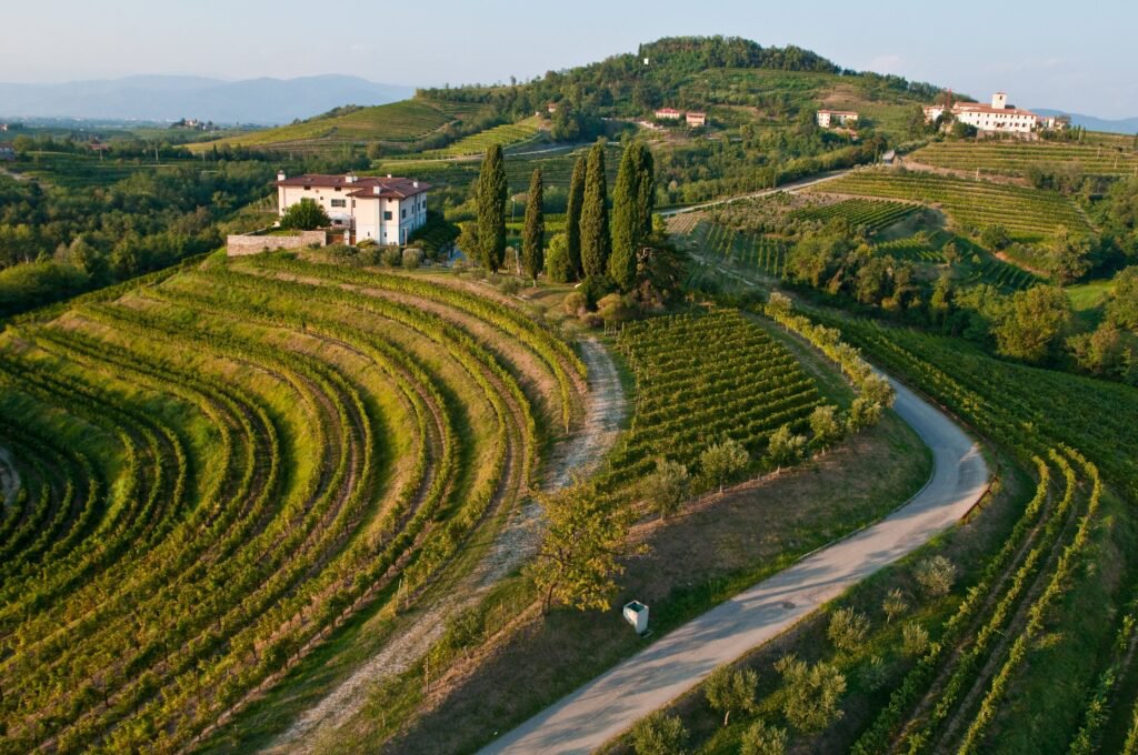 The Collio wine road